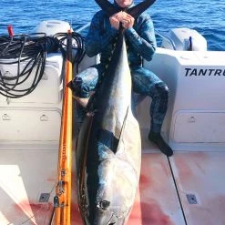 Teak Sea Azimuth T8 MH Speargun Wood Spearguns