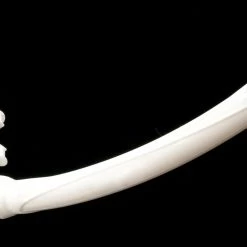 Spearfish SpearPro Dario Silicone Snorkel