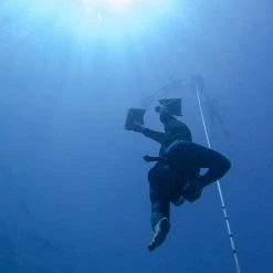 Spear America Classes F.i.i. Level 1 And 2 Freediving Courses