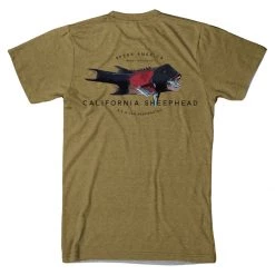 Spear America Sheephead T-Shirt Short Sleeve